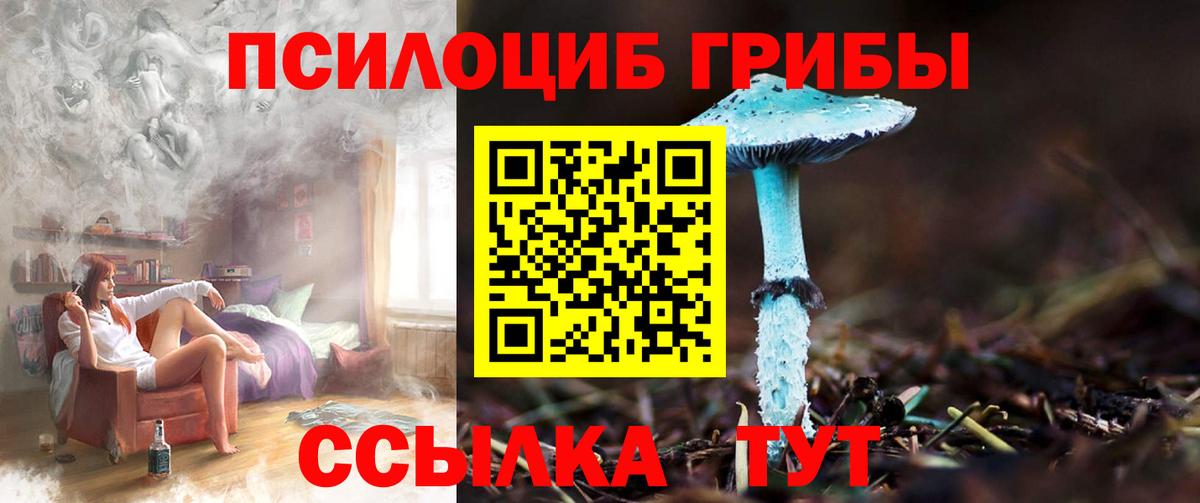 Железноводск  Псилоцибиновые грибы GOLDEN TEACHER  Вход с VPN 